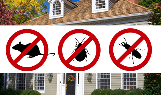 keep home pest free